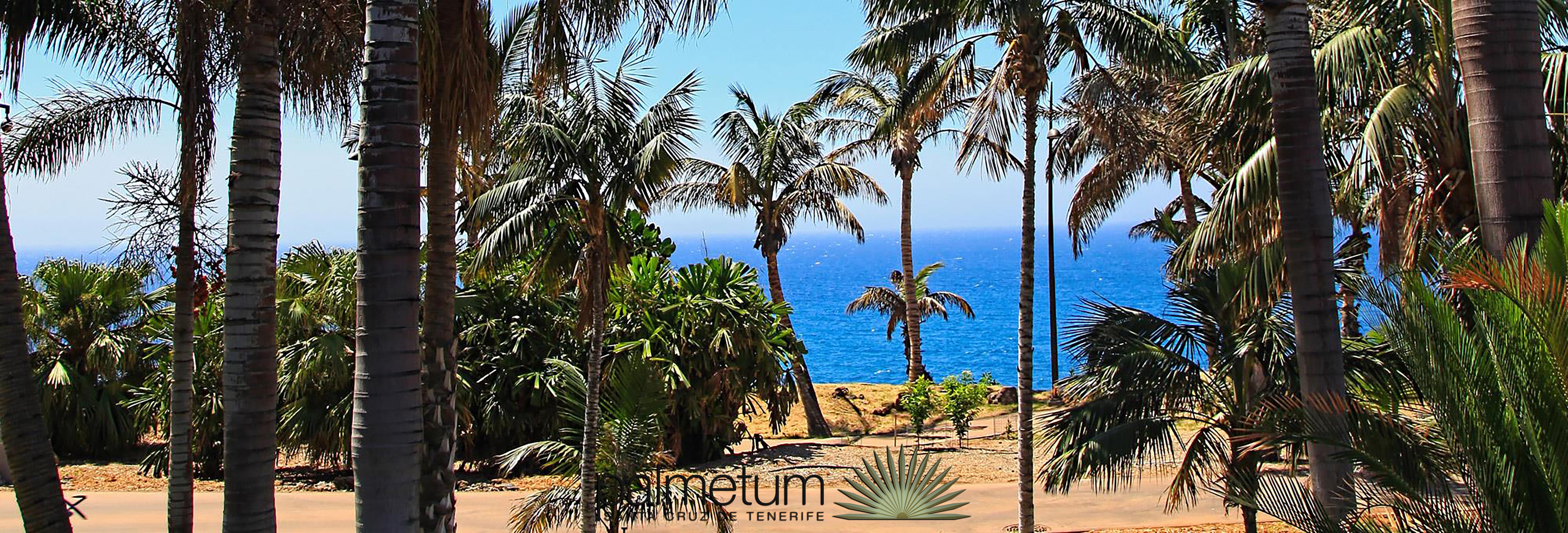 Hotel Adonis Plaza Santa Cruz de Tenerife Exteriör bild