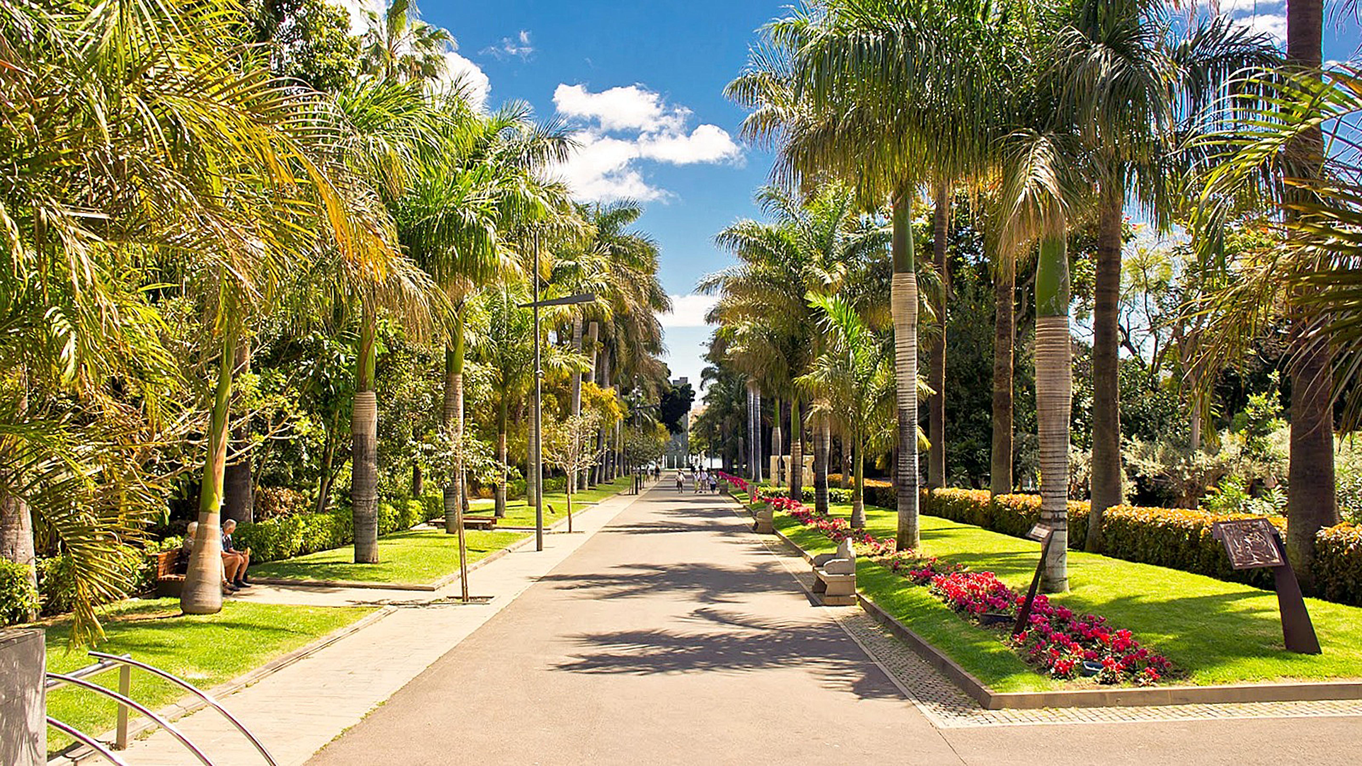 Hotel Adonis Plaza Santa Cruz de Tenerife Exteriör bild